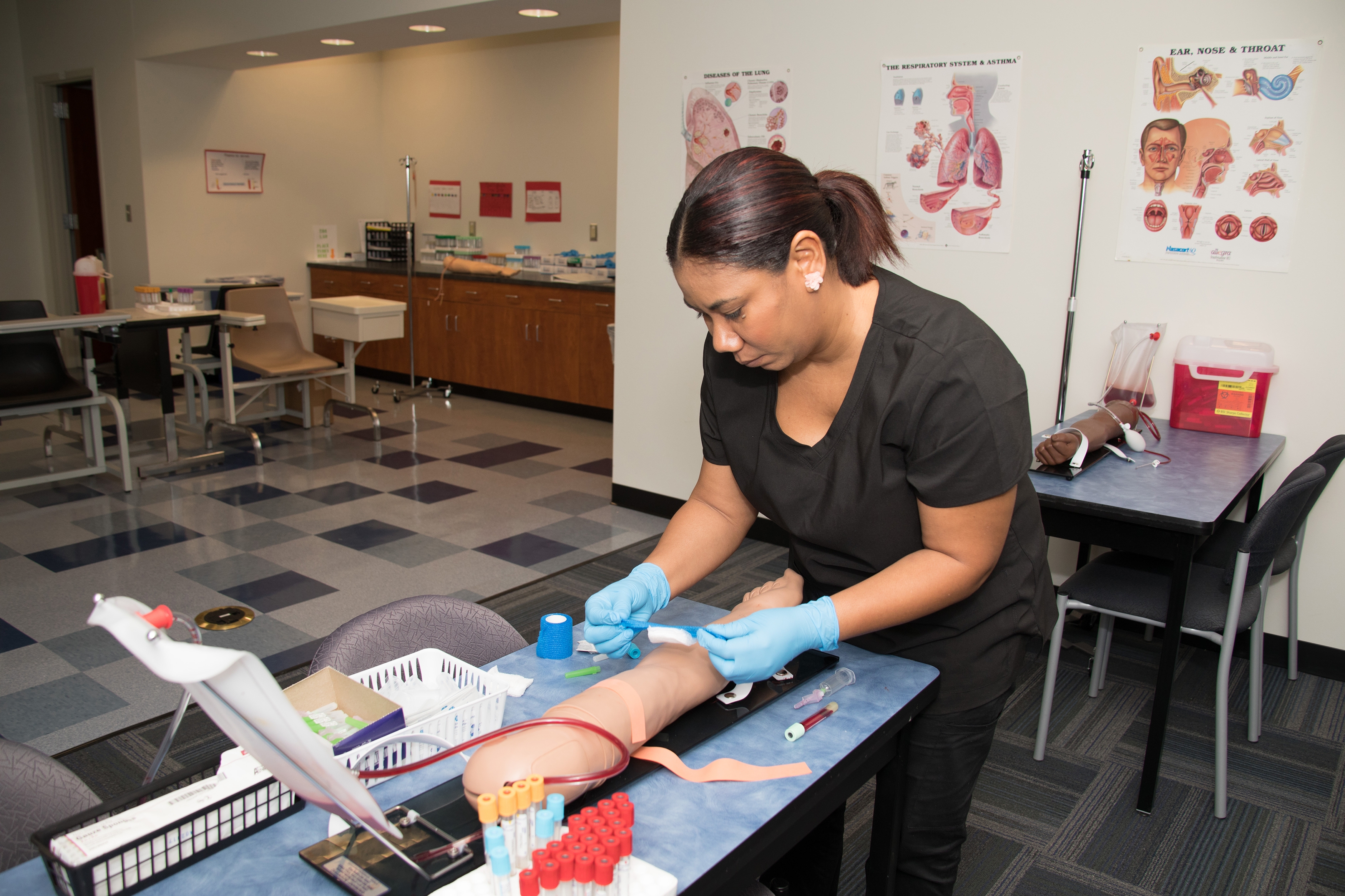 Phlebotomy photo